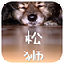 松狮动态壁纸 v1.0 Android版 