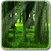 真实森林动态壁纸 RealDepth Forest LWP v1.1.0 