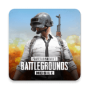 PUBG日服手游 