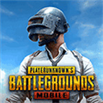 pubg mobile亚服 