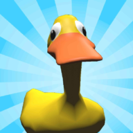 Runny Duck 